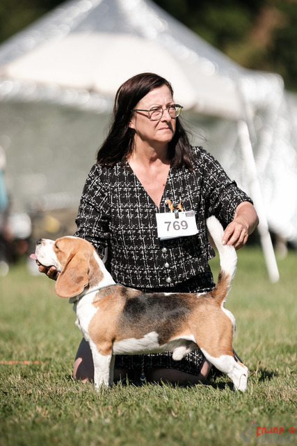 CACIB Aarau | CACIB Aarau, Swiss Dog Show  29062025 Foto: Leo Wyden