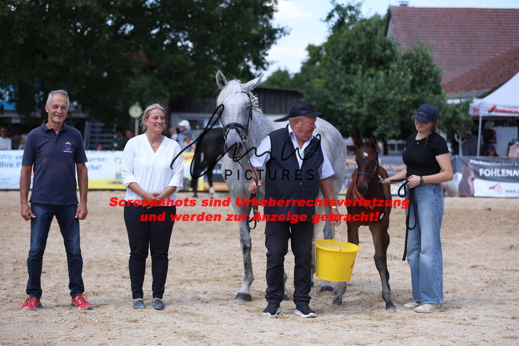 Fohlenschau_Schwäbisch_Hall_springbetonte_Fohlen_RESERVE SIEGERFOHLEN_KN 23_11 | lmwpictures - Realisiert mit Pictrs.com