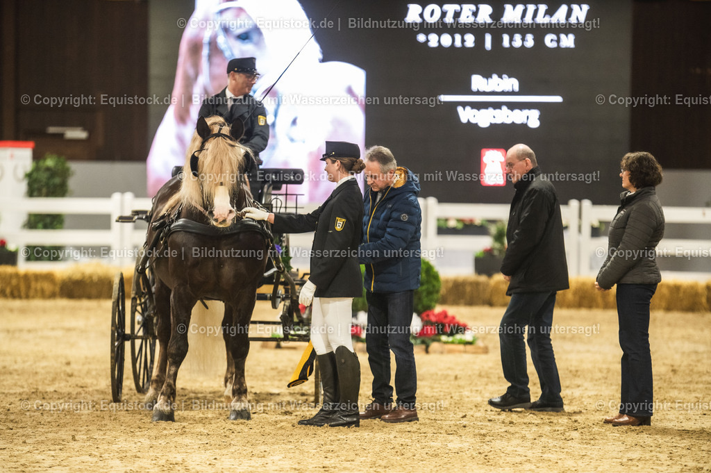 20240302_Hengstvorstellung_Marbach_TOMsPiC_0635-2 | equistock