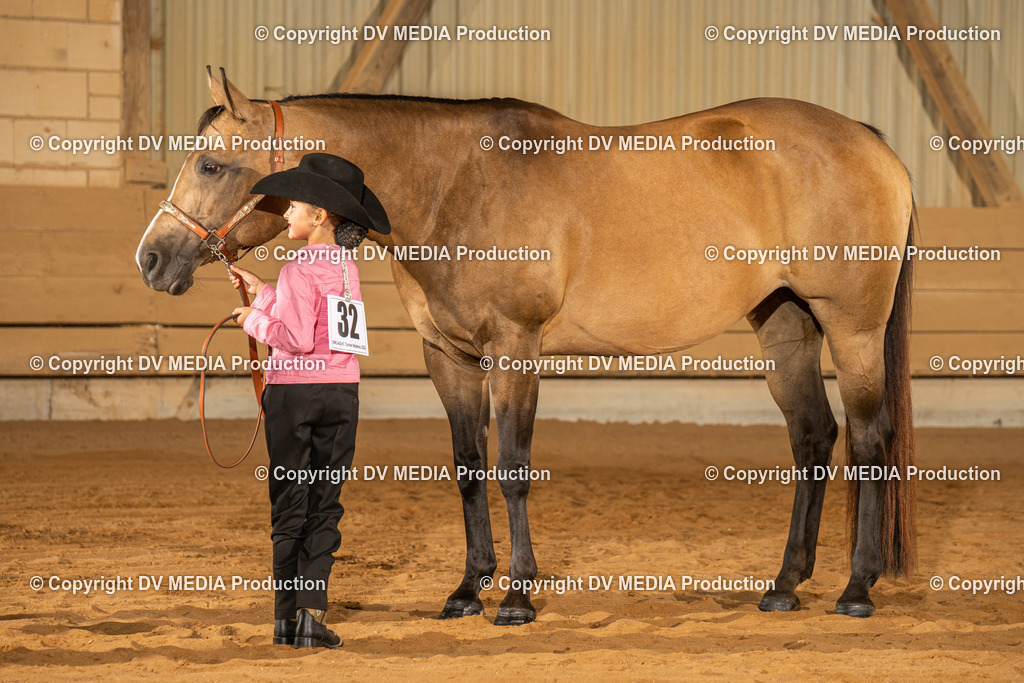 NID02407 | dv-media-shop - Realisiert mit Pictrs.com