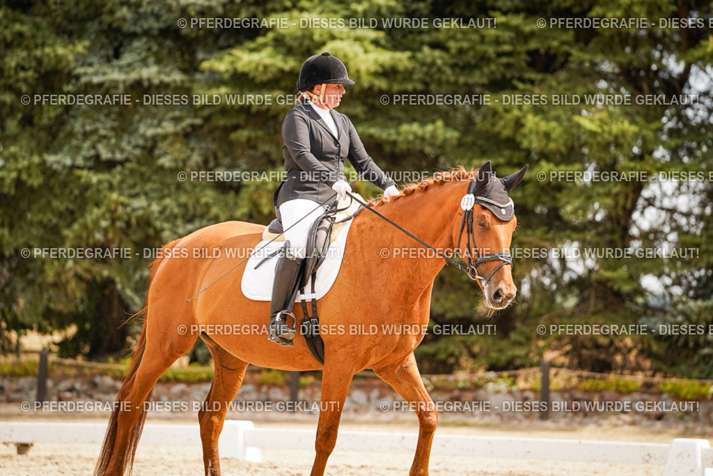 DSC01876 | Pferdegrafie