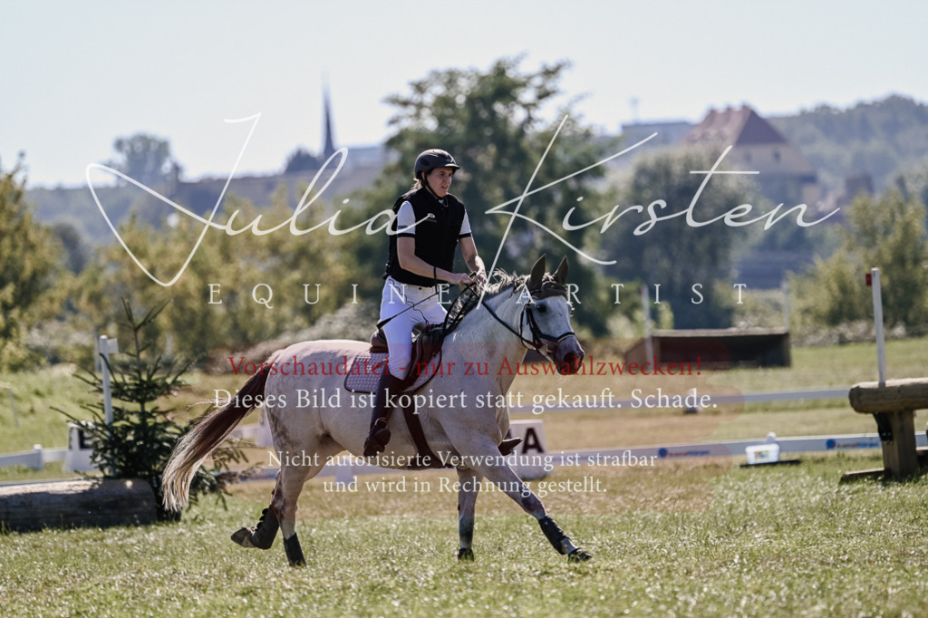 DSC_2849 | Pferde- und Turnierfotografie in Westsachsen. Pferdeportraits, Auftragszeichnungen und intuitive Kunst.