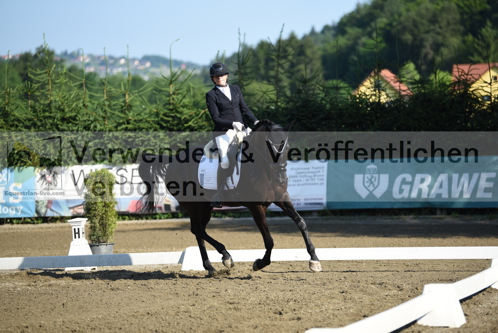 DSC_7061 | equestrian-live-com