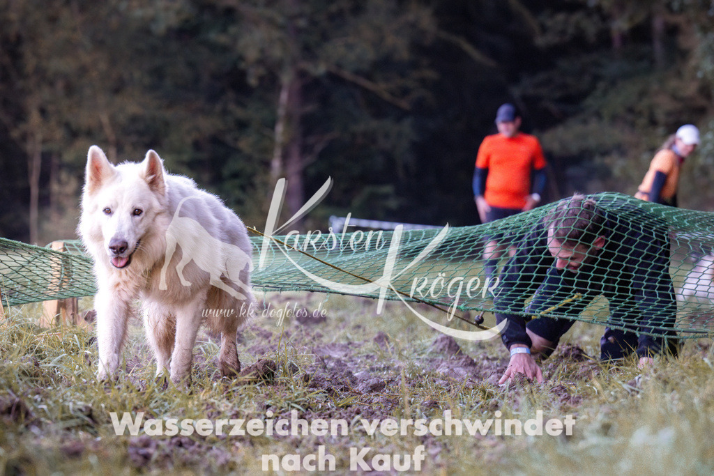 0849_ZZ91069 | kk-dogfotos
