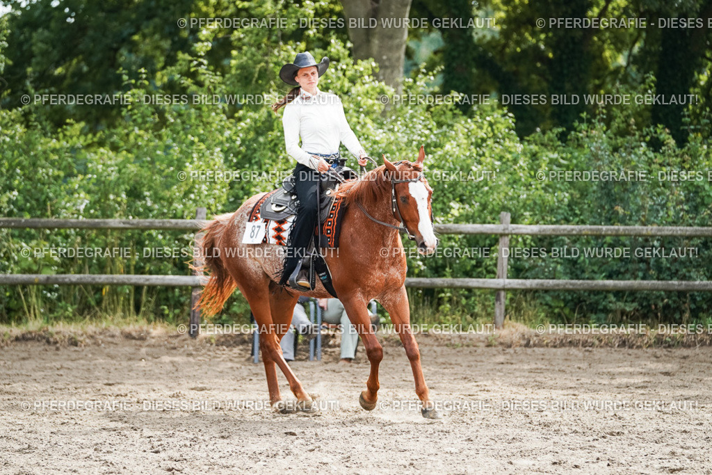 DSC04403 | Pferdegrafie