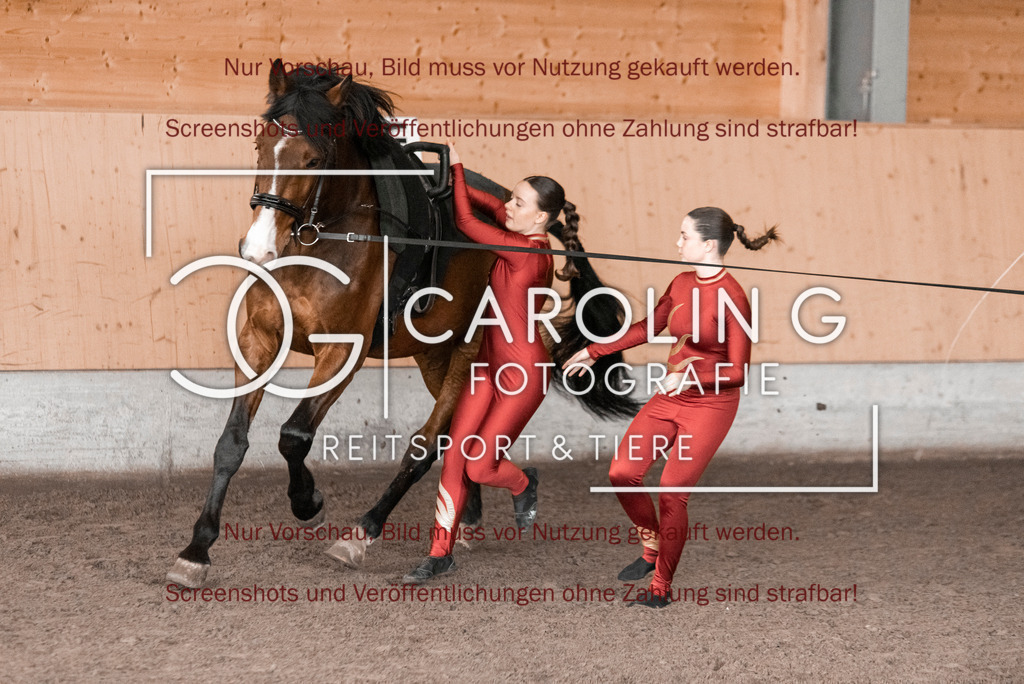 DSC_1979 | Turnierfotografin Carolin Gieschke,Reitsport Turnierfotografie Carolin G Fotografie | Turnierfotos aus Kirchheim/Teck, Esslingen, Stuttgart und dem Bodenseekreis