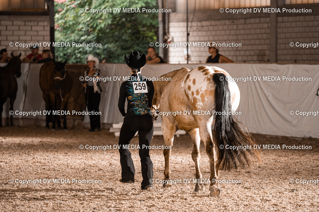 ZH200226 | dv-media-shop - Realisiert mit Pictrs.com