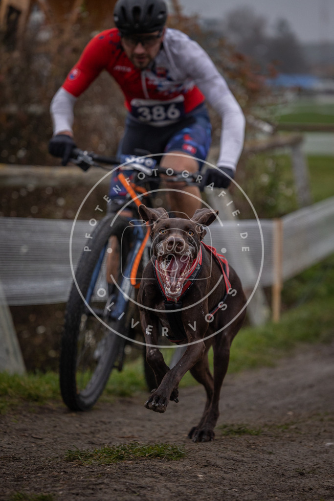 CaniXpix_0L8A1126 | Hundefotografie, Tierfotograf, Pfotenfotografie, Fotoshooting Hund, Hunde Portrait, Hundesport, Hundeportraits, Heideshooting, Hunde, Sportfotograf, Hundefotograf, Turnierhundsport, THS,  - Realisiert mit Pictrs.com