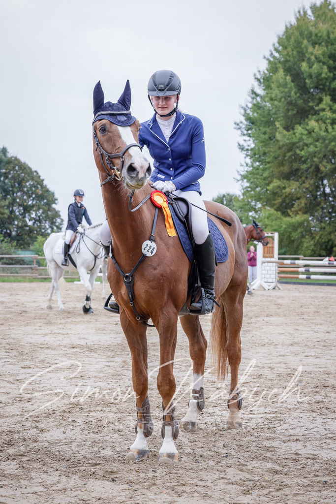 20251012-_3LI3013 | Tierfotografie Pferde, Hunde, Katzen, Haustiere.
Turnierfotografie Reitturniere, Reiten, Springreiten, Dressur in Hanau, dem Main-Kinzig-Kreis und dem Rhein-Main- Gebiet um Frankfurt