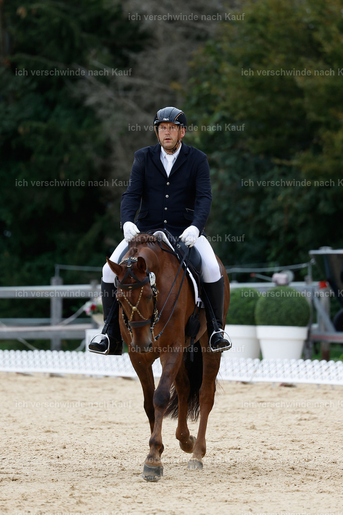 3-239-Dressur M_-StoibPH-2406 | working equitationturnier fotograf videograf stoibphotography marixx film working equitation deutschland reitsport turnierfotografie eventfotografie equestrian events