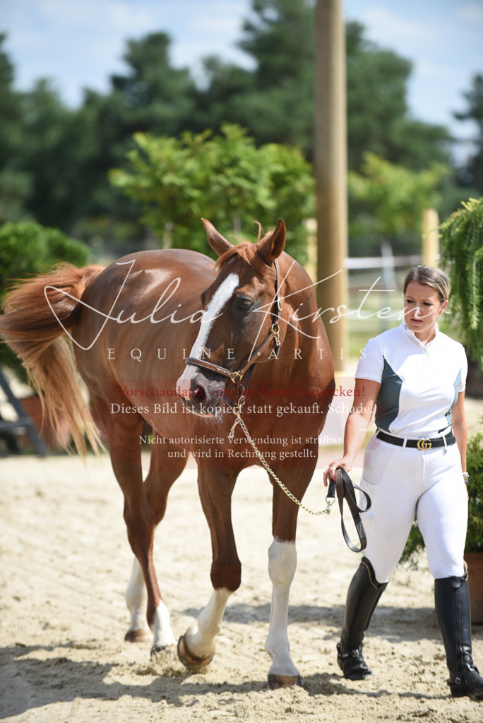 DSC_8990 | Pferde- und Turnierfotografie in Westsachsen. Pferdeportraits, Auftragszeichnungen und intuitive Kunst.