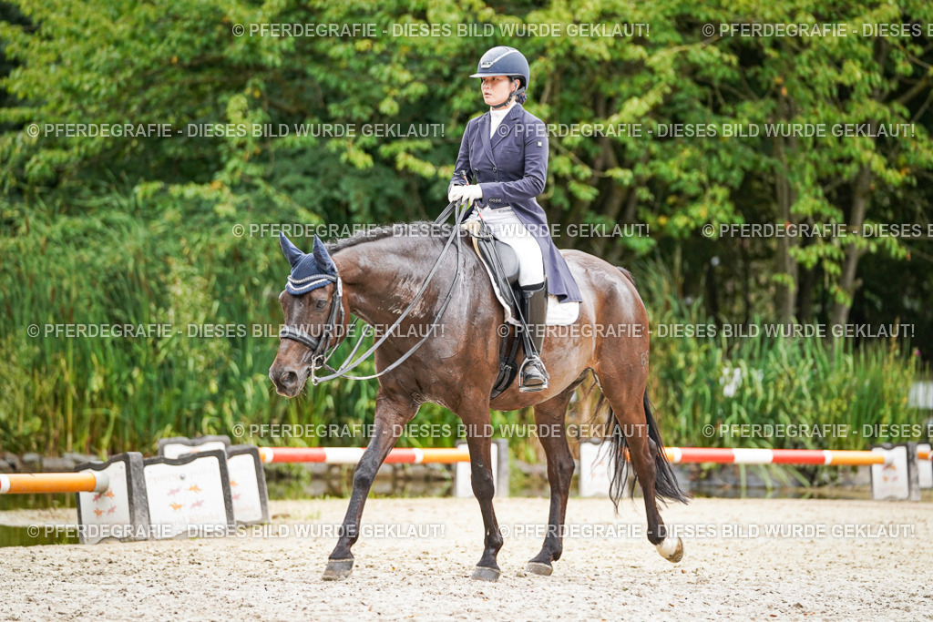 DSC07732 | Pferdegrafie