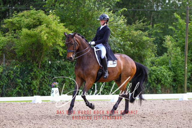 DKP41690 | Turnierfotos kaufen im Webshop von Daniel Kuhl Photography – entdecke professionelle Reitsportfotos aus Turnieren & Events. Hochwertige Turnierbilder online bestellen & sichern. Jetzt Fotos von Reitsportturnieren kaufen!
