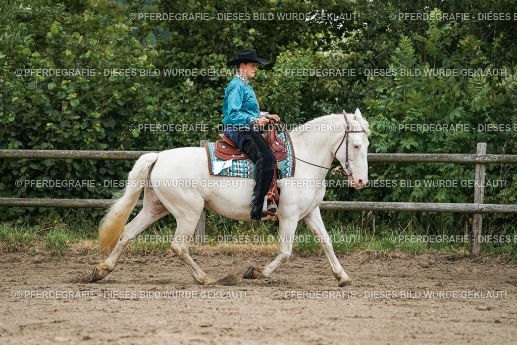 DSC03765 | Pferdegrafie