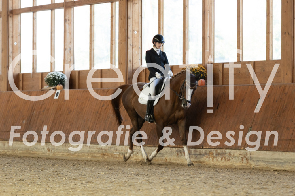 IMG_5217 | Creatify Fotografie