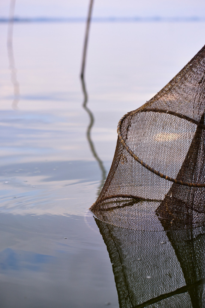 Fischreuse am Boot hängend mit Blick auf See | San Feliciano, Italien - August 31, 2016: Fischreuse am Boot hängend mit Blick auf See - Realisiert mit Pictrs.com