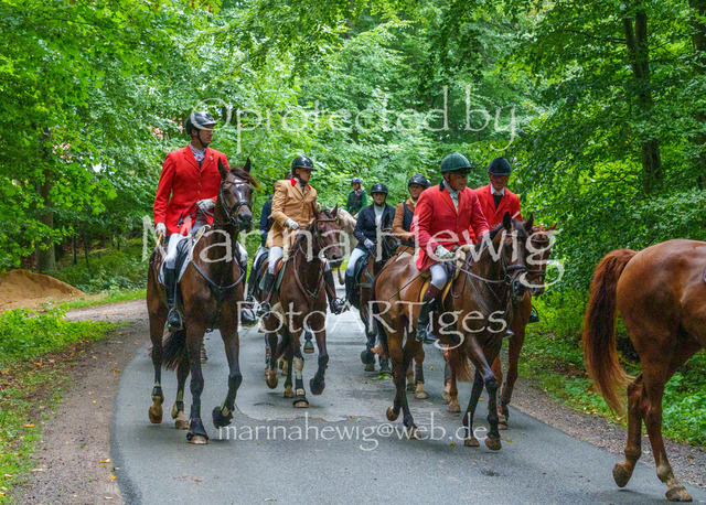 Jagd Kletkamp 26-02774_MarinaHewig | Fotografie, FotoArt, PferdesportArt, Pferdesportfotografie, Landschaftsfotografie, Reisefotografie, Reise, Pferde - Realisiert mit Pictrs.com