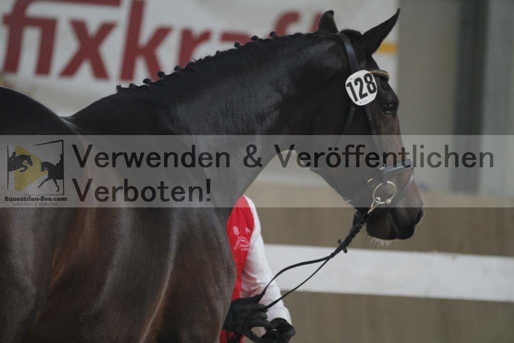 _MG_9858 | equestrian-live-com
