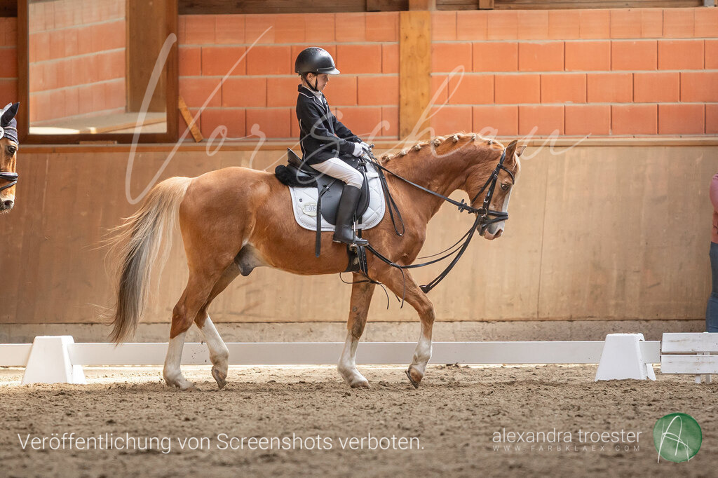 250405_Barop_02_086 | farbklaex.com