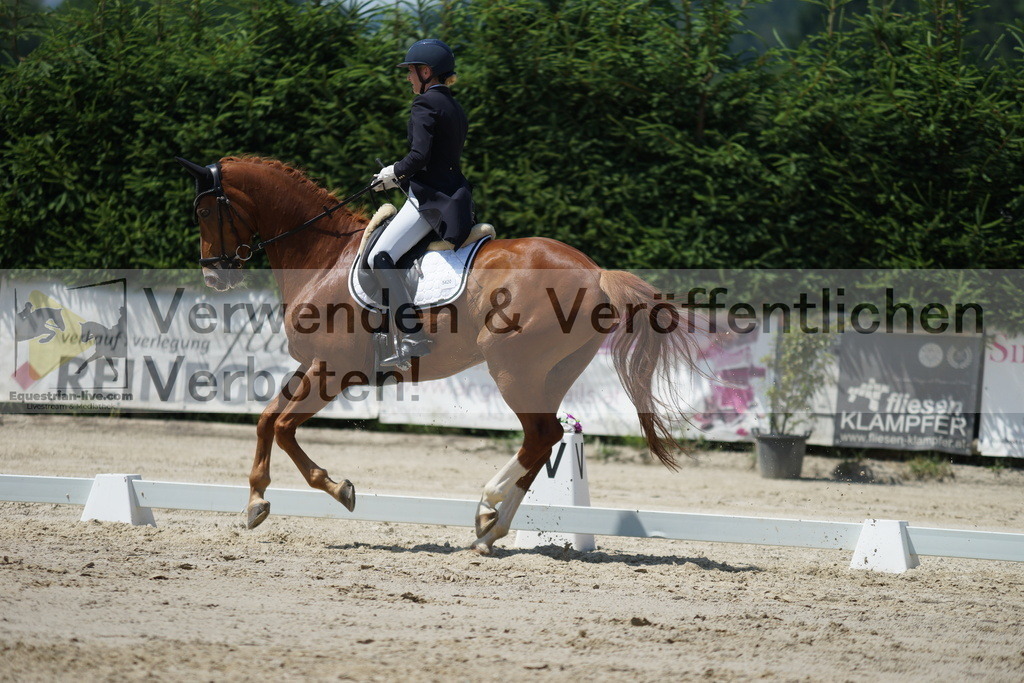 DSC05125 | equestrian-live-com