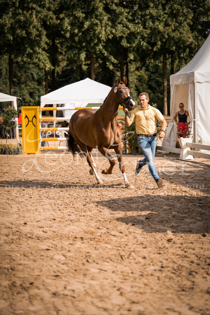 FrER00132 | Leoni Ertmer Photography - Realisiert mit Pictrs.com