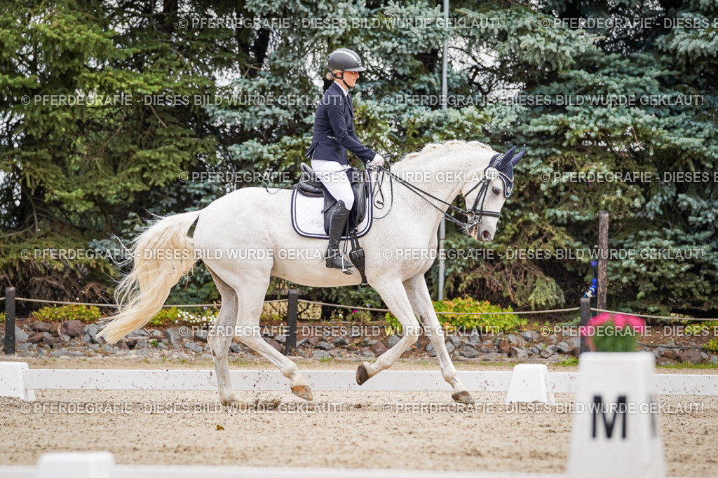 DSC02795 | Pferdegrafie