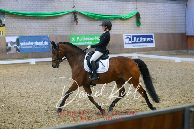 IMG_2820 | Turnierfotos kaufen im Webshop von Daniel Kuhl Photography – entdecke professionelle Reitsportfotos aus Turnieren & Events. Hochwertige Turnierbilder online bestellen & sichern. Jetzt Fotos von Reitsportturnieren kaufen!