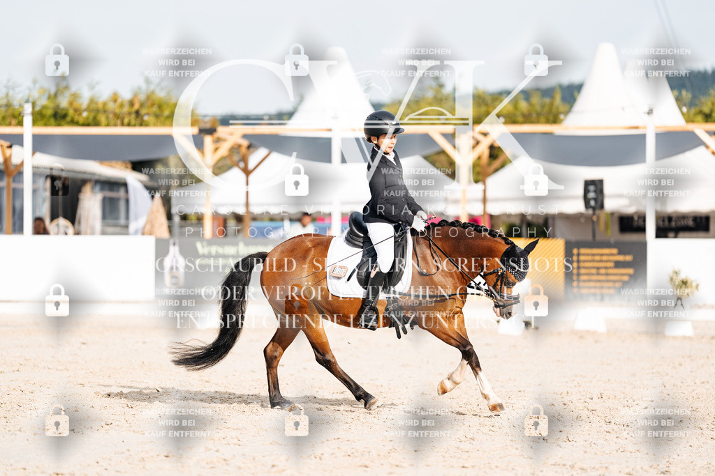 CK904258 | Turnierfotografie Pferdefotografie Trier Rheinland-Pfalz Pferdesport Reitsport Tierfotografie Sportfotografie Pferdevideo Pferdevideografie Equestrianvideography equestrianphotography  - Realisiert mit Pictrs.com