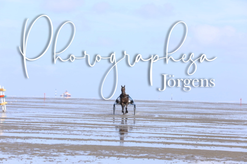 IMG_8058 | photographesa-joergens - Realisiert mit Pictrs.com