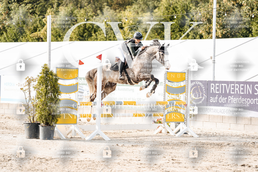 CK906598 | Turnierfotografie Pferdefotografie Trier Rheinland-Pfalz Pferdesport Reitsport Tierfotografie Sportfotografie Pferdevideo Pferdevideografie Equestrianvideography equestrianphotography  - Realisiert mit Pictrs.com