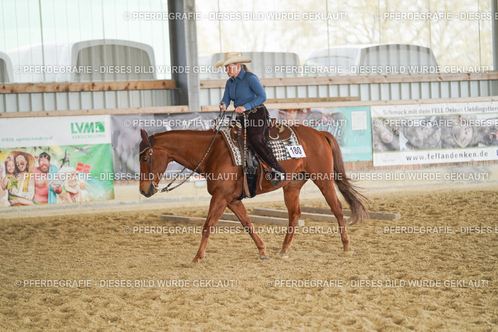 DSC01704 | Pferdegrafie