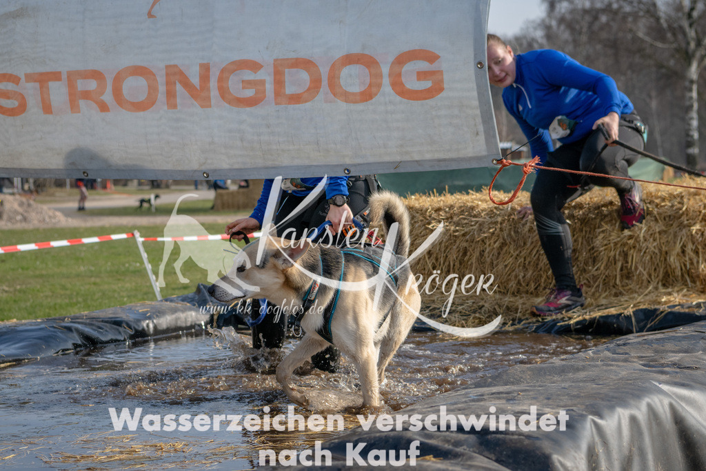 _ZZ90057 | kk-dogfotos