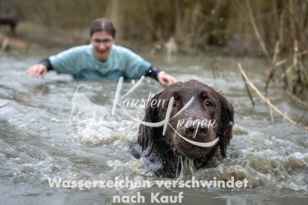 1032_ZZ90588 | kk-dogfotos