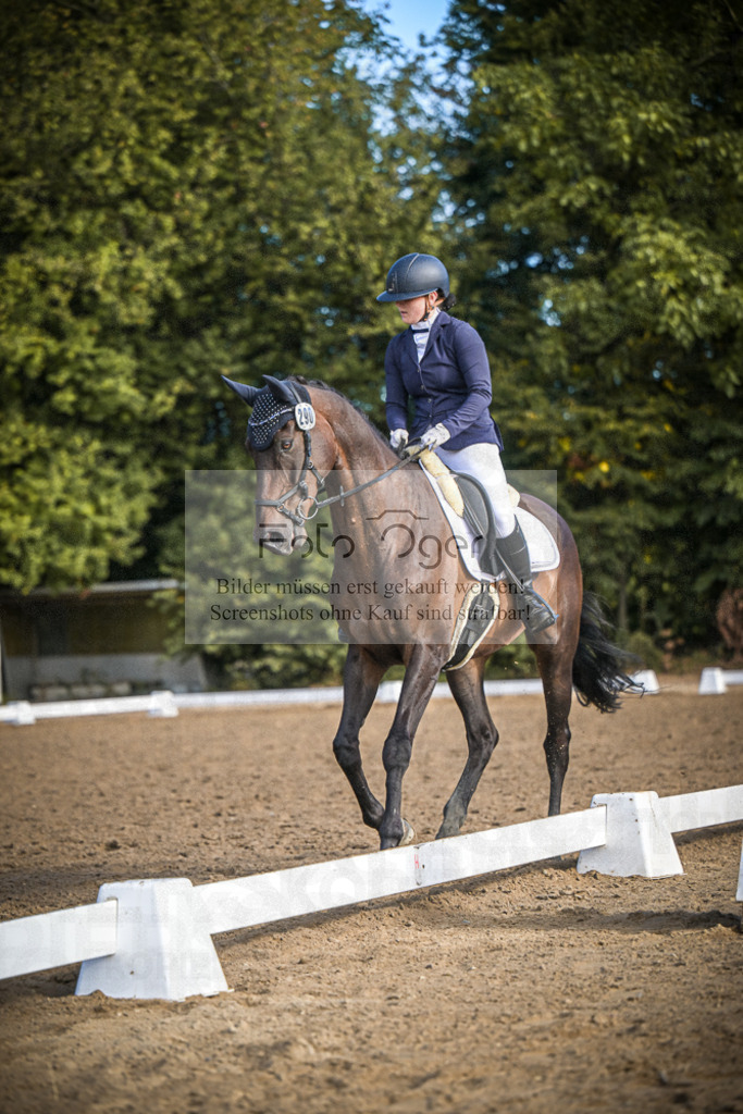 DOS_0460 | Entdecke hochwertige Reitturnierfotos von Foto Oger. Professionell, emotional und authentisch – jetzt Lieblingsmomente im Shop bestellen.Deutschlandweite Turnierfotografie. - Realisiert mit Pictrs.com