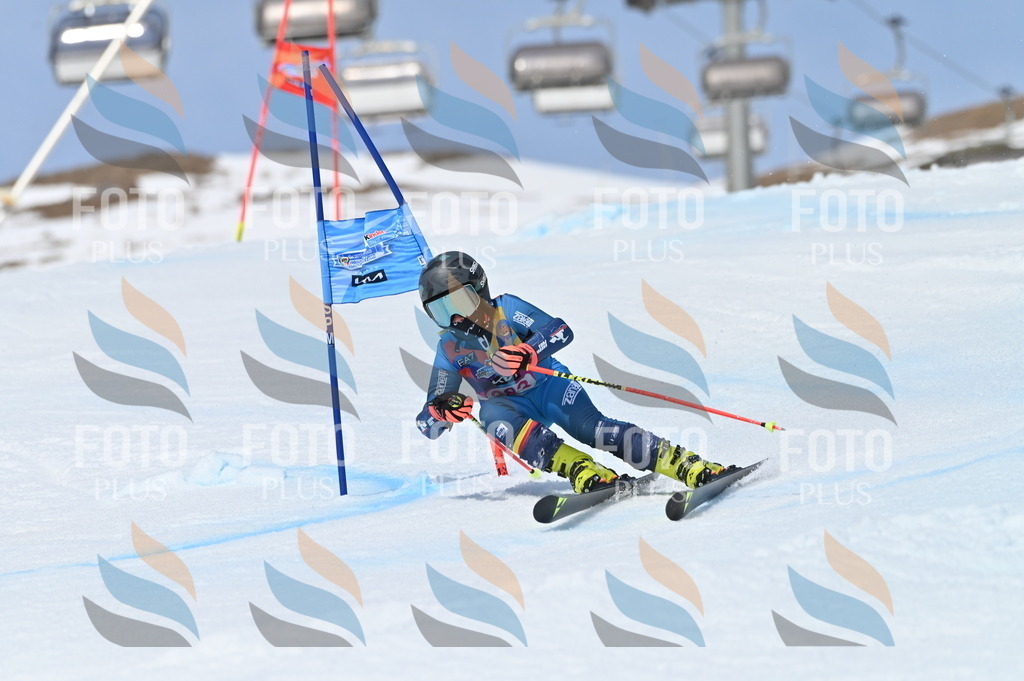 BGV_4234 | holidayphoto