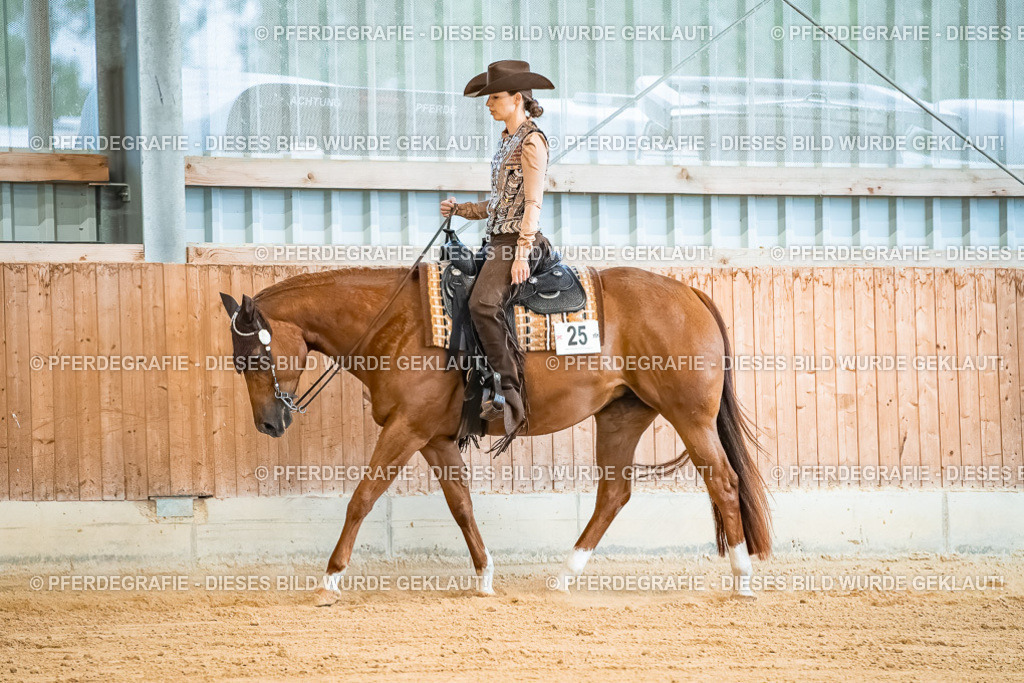 DSC09959 | Pferdegrafie