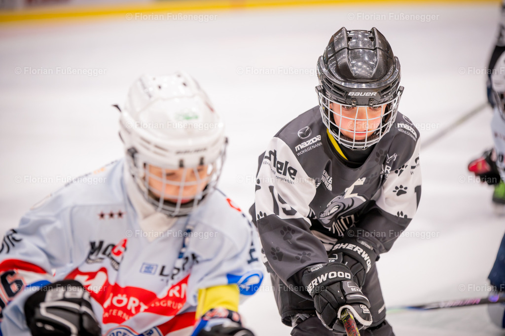 DSC_3219 | "Fussifoto.com – Ihr Ansprechpartner für hochwertige Fotografie! Entdecken Sie kreative Bilder und professionelle Dienstleistungen. Kontaktieren Sie uns für Ihre Projekte!"