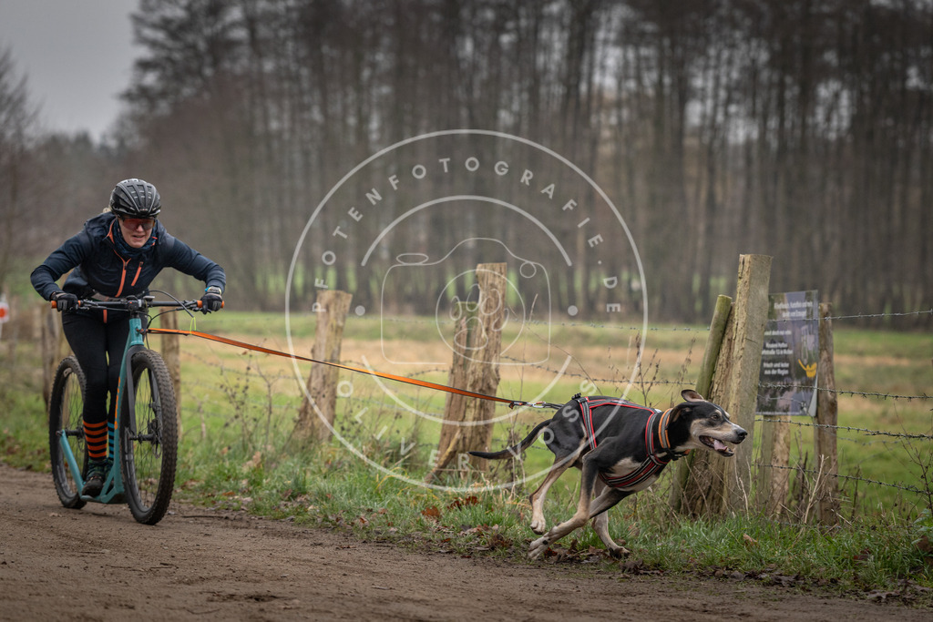 Pfotenfotografie_DV3A2398 | Hundefotografie, Tierfotograf, Pfotenfotografie, Fotoshooting Hund, Hunde Portrait, Hundesport, Hundeportraits, Heideshooting, Hunde, Sportfotograf, Hundefotograf, Turnierhundsport, THS,  - Realisiert mit Pictrs.com