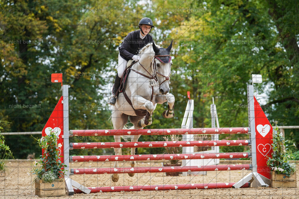 20221009-FAH08878 | Diessen am Ammersee, 2022, Dressur- und Springturnier, Reitsportbilder, Turnierfotografen Bayern, Pferdefotografen, Fotoagentur Herrmann, Turnierbilder