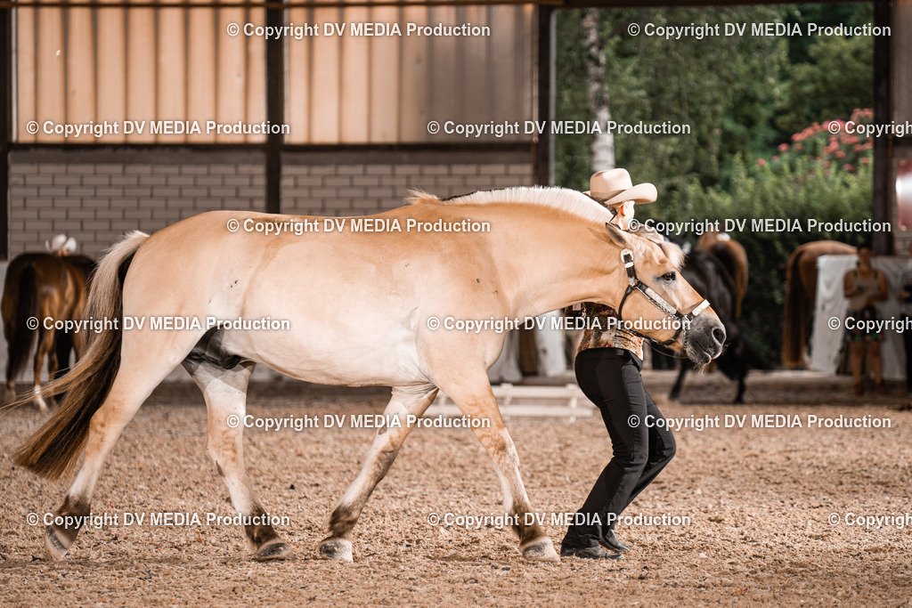 ZH200168 | dv-media-shop - Realisiert mit Pictrs.com