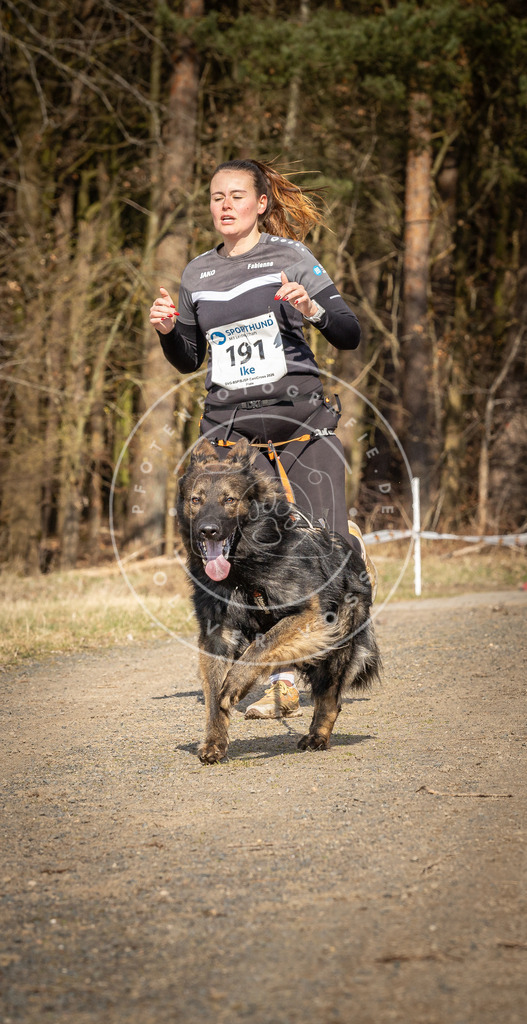 DV3A5750 | Hundefotografie, Tierfotograf, Pfotenfotografie, Fotoshooting Hund, Hunde Portrait, Hundesport, Hundeportraits, Heideshooting, Hunde, Sportfotograf, Hundefotograf, Turnierhundsport, THS,  - Realisiert mit Pictrs.com