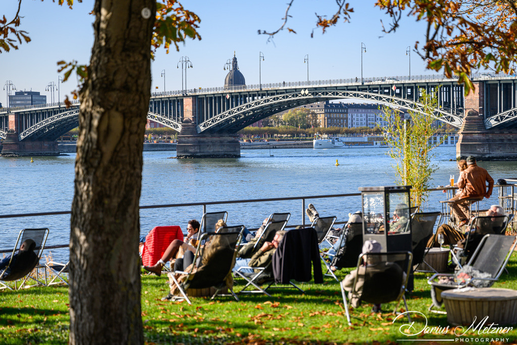 DSC_7245 | Fotografien, Fotos und Bilder aus Mainz, Frankfurt, Wiesbaden und anderen Orten auf der Welt - Fotografiert von Darius Metzner