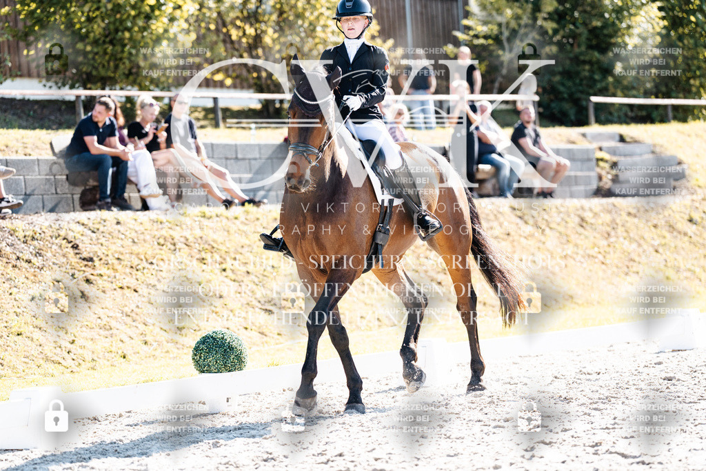 CK905669 | Turnierfotografie Pferdefotografie Trier Rheinland-Pfalz Pferdesport Reitsport Tierfotografie Sportfotografie Pferdevideo Pferdevideografie Equestrianvideography equestrianphotography  - Realisiert mit Pictrs.com