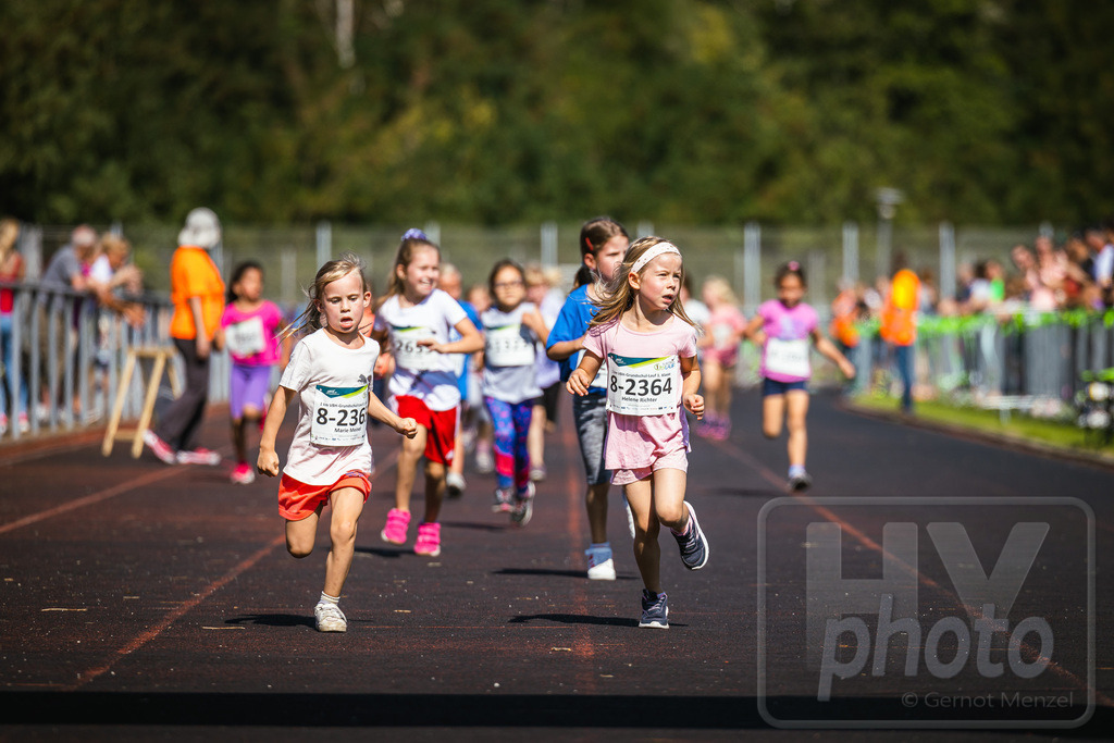 GM_20230916_248315_Canon EOS R5_GMHY6483_RAW_s3900 | Webshop der Firma HY-photo, bietet Fotos und Fotoprodukte vorrangig mit Motiven aus Hoyerswerda und Umgebung, aber auch weltweit. Fotograf: Gernot Menzel - Realisiert mit Pictrs.com