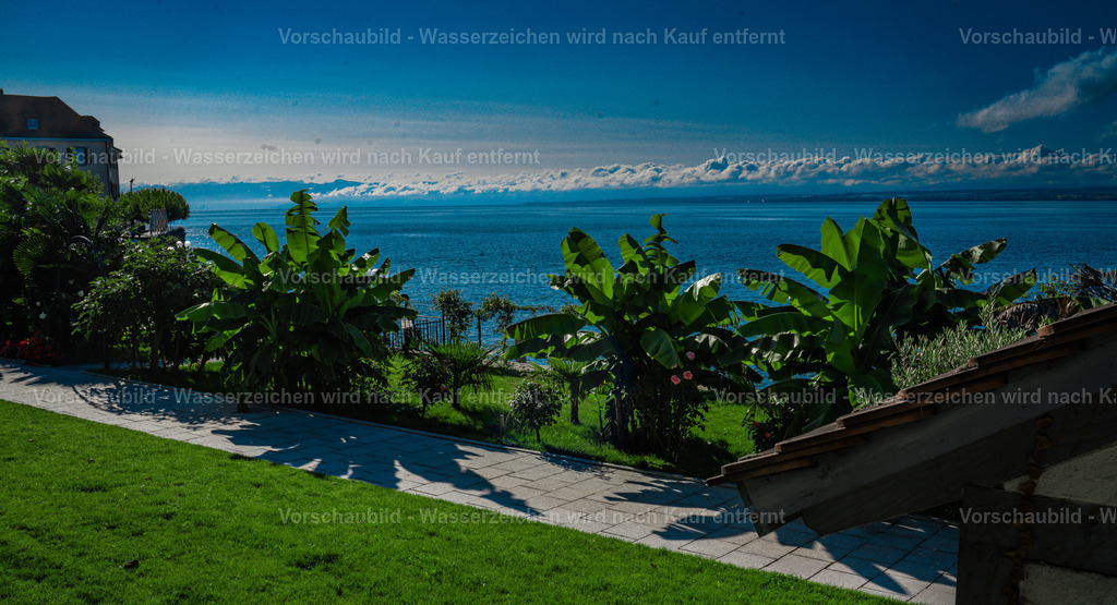 DSC00242 | marcuslinek