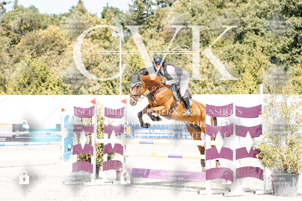 CK901084 | Turnierfotografie Pferdefotografie Trier Rheinland-Pfalz Pferdesport Reitsport Tierfotografie Sportfotografie Pferdevideo Pferdevideografie Equestrianvideography equestrianphotography  - Realisiert mit Pictrs.com