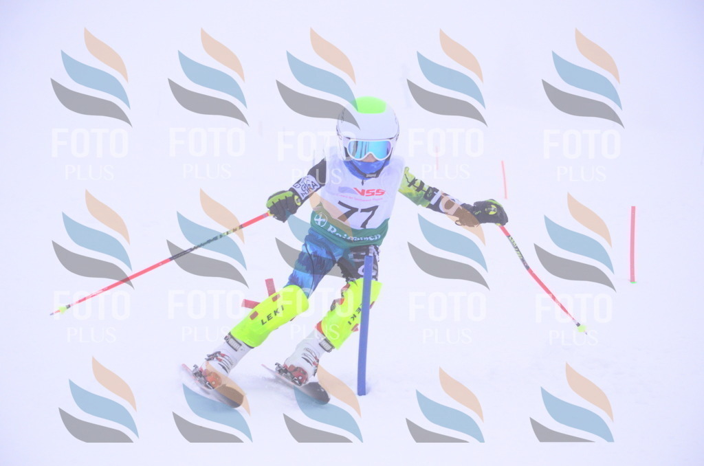 A4291 | holidayphoto