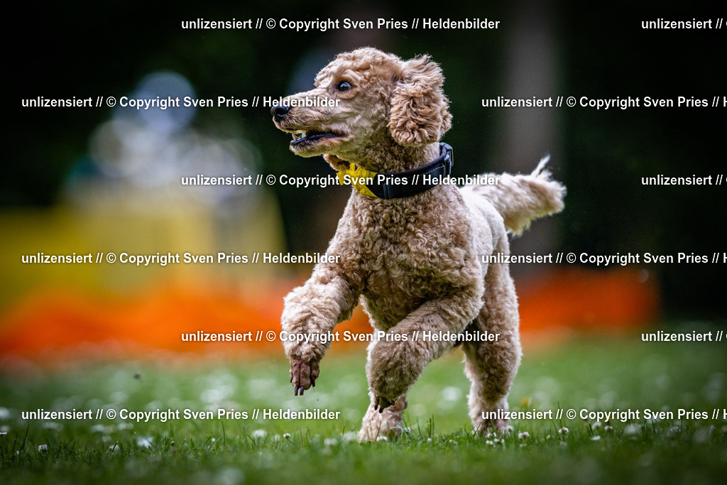 Sven Pries | 2025-05-29 - Pudelrennen KA-Durlach - Realisiert mit Pictrs.com