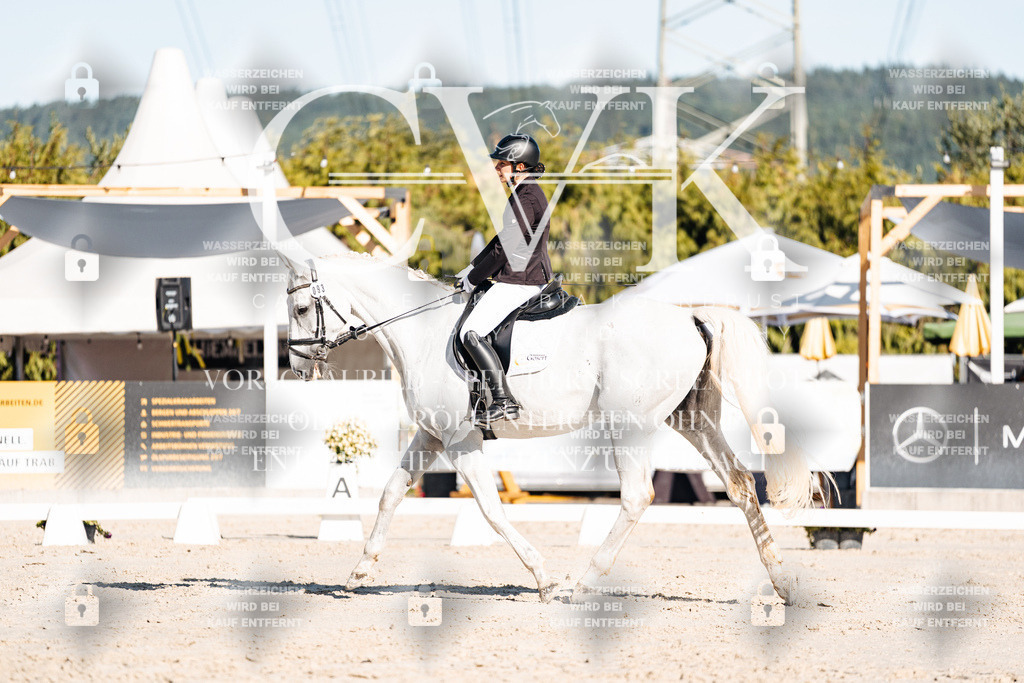 CK907435 | Turnierfotografie Pferdefotografie Trier Rheinland-Pfalz Pferdesport Reitsport Tierfotografie Sportfotografie Pferdevideo Pferdevideografie Equestrianvideography equestrianphotography  - Realisiert mit Pictrs.com