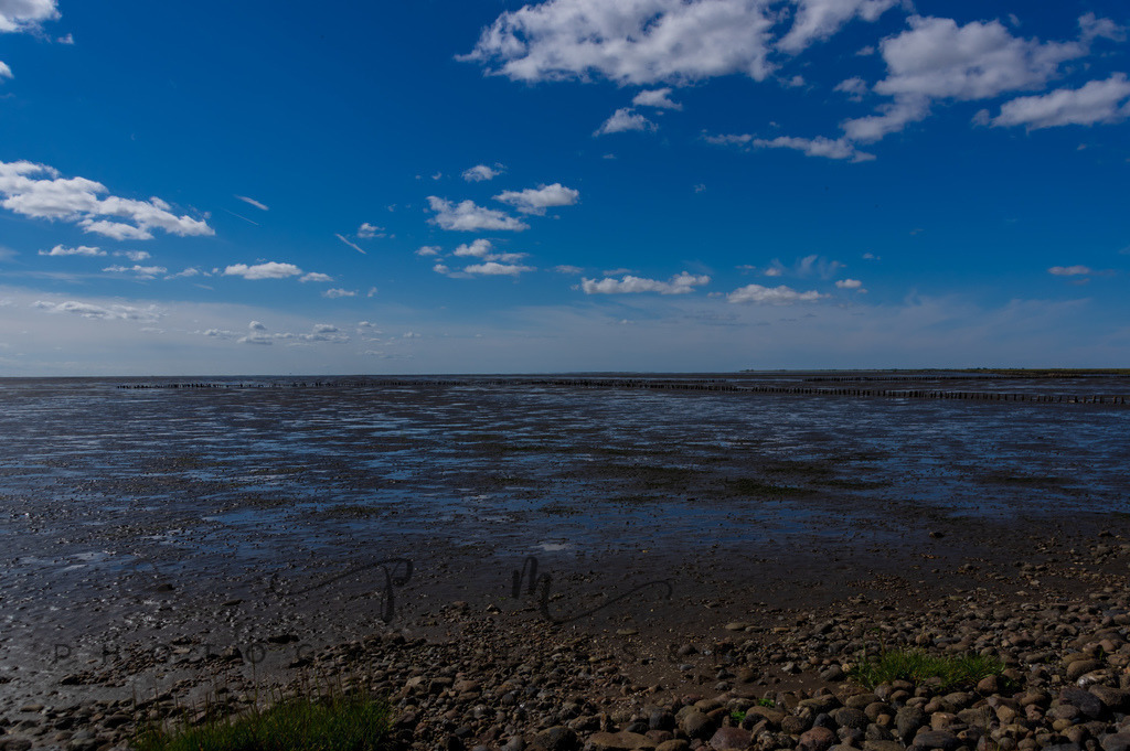 IMGP0454 | Nordseeinsel Mandö - Realisiert mit Pictrs.com